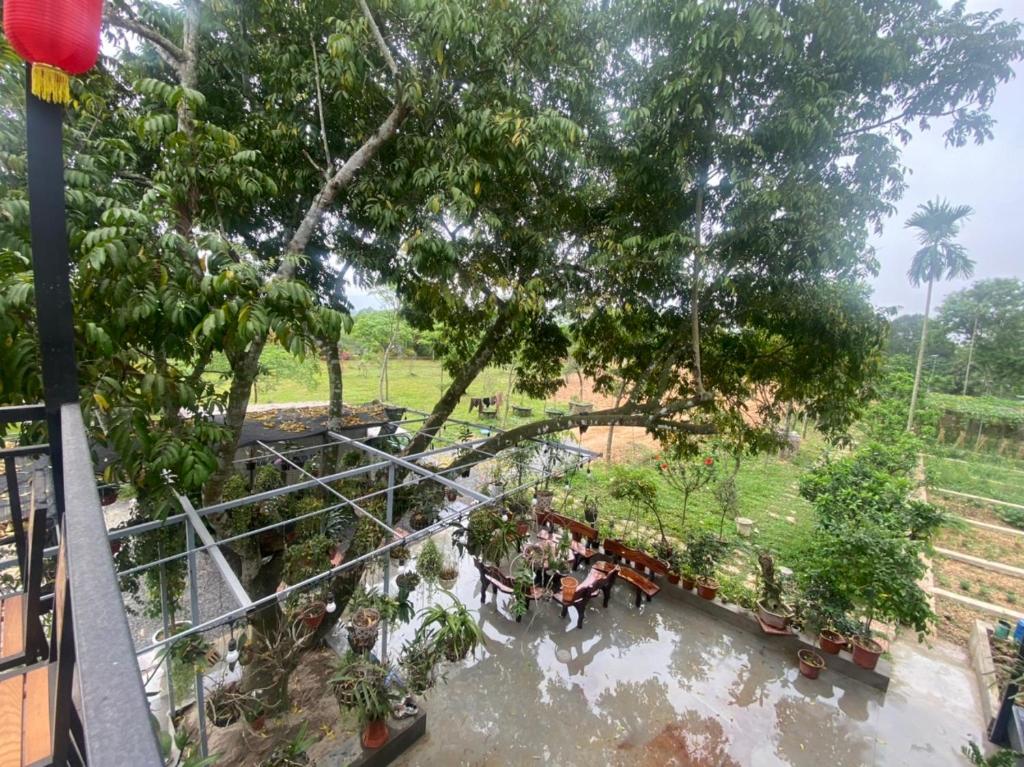 Undertree life villa 1