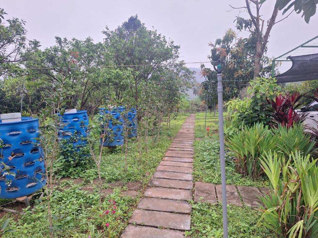 Undertree life villa 1