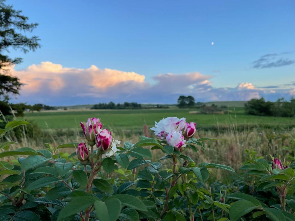 Drömhus på Österlen photo 2