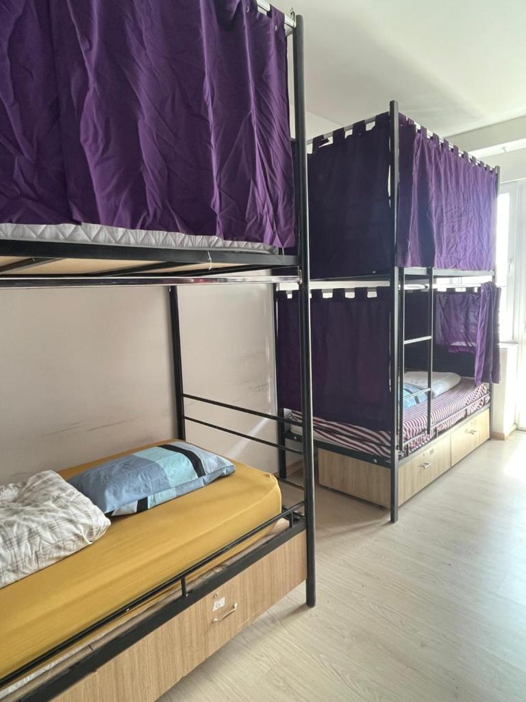 NEWBORN comfort HOSTEL photo 2