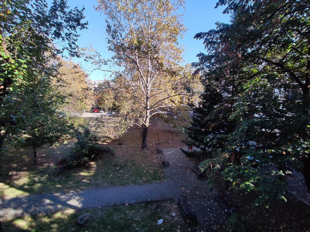Park view