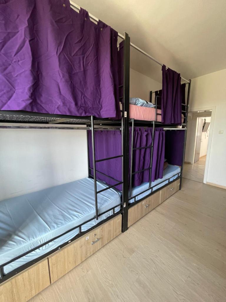 NEWBORN comfort HOSTEL photo 3