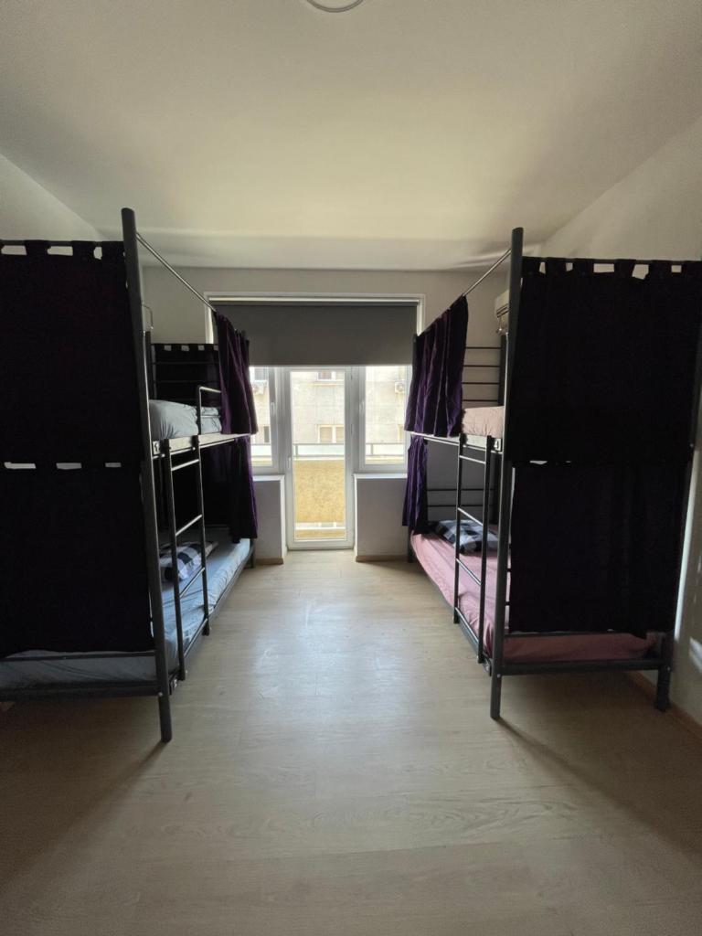 NEWBORN comfort HOSTEL photo 4