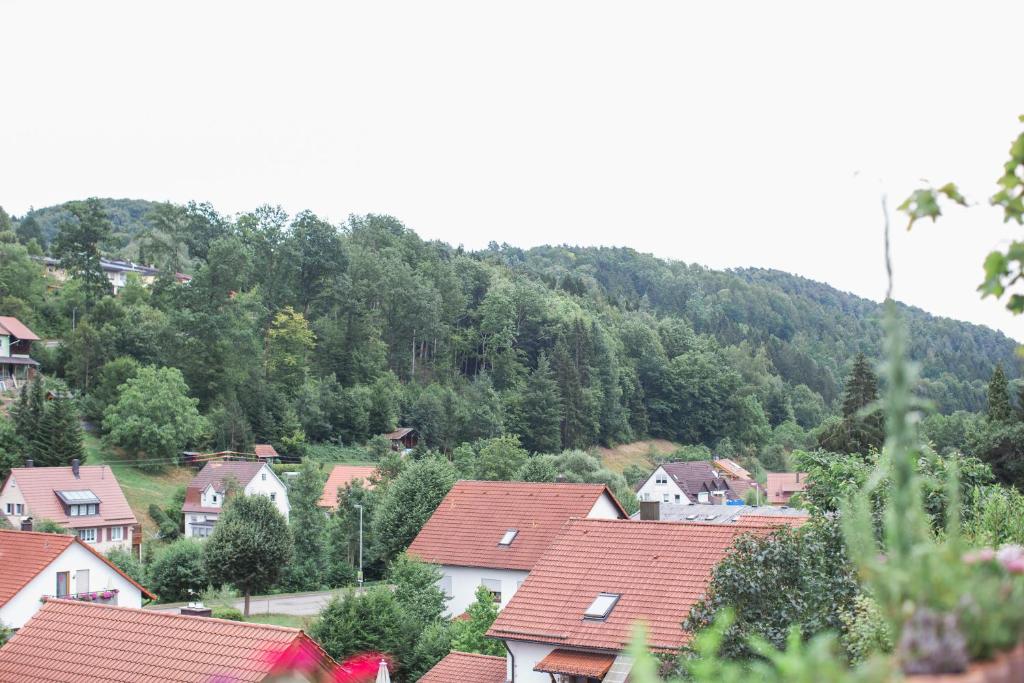 Ferienwohnung Spiegelberg photo 4