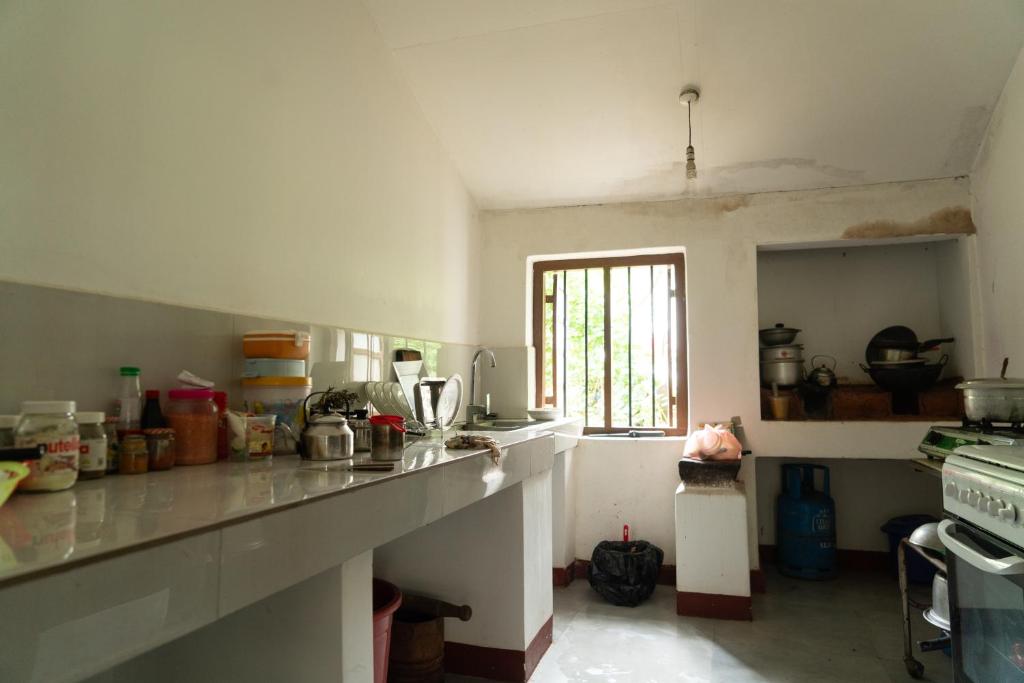 Raja Villa photo 1