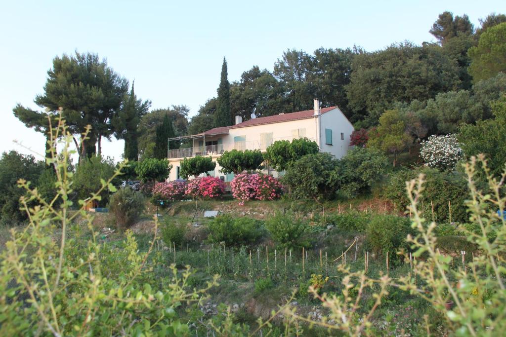La Maison De La Cadière photo 2