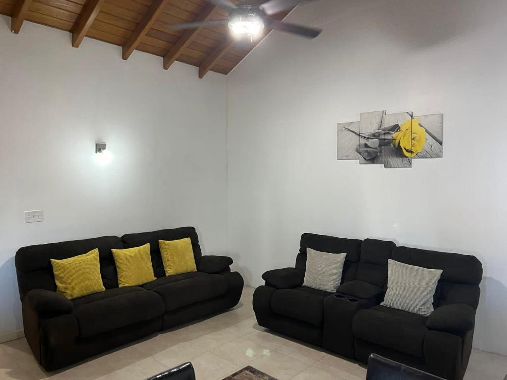Large Modern Space