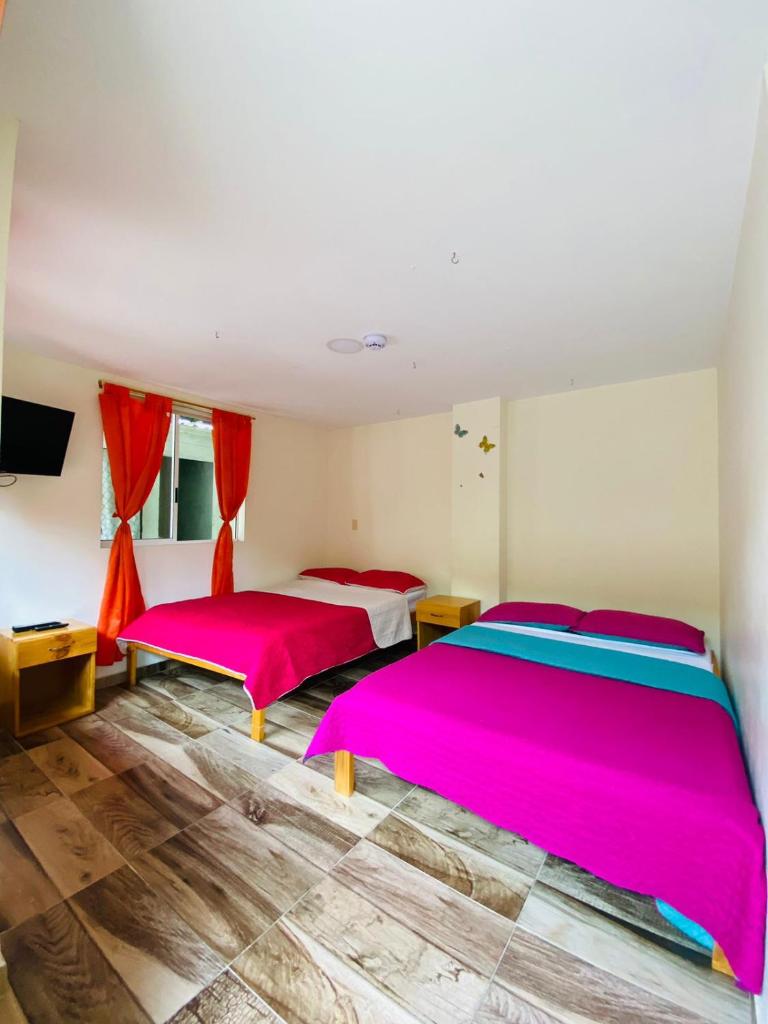 Hostal Don Jose photo 4