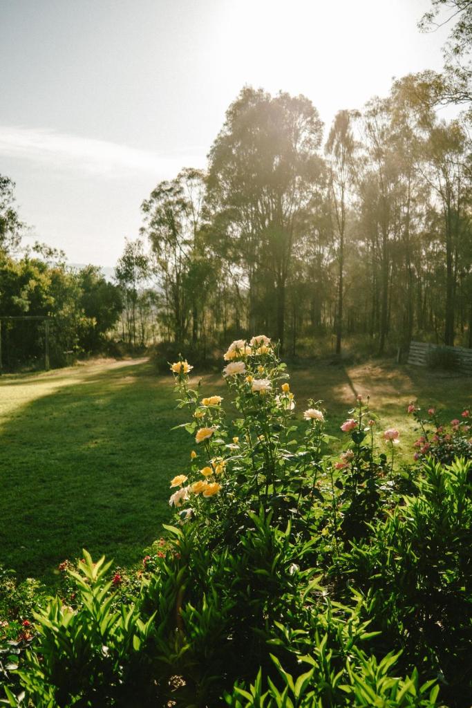 Hunter Moon Country House, Hunter Valley photo 2