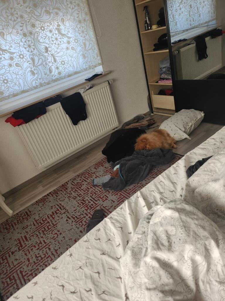 SeDe Mutlangen photo 3