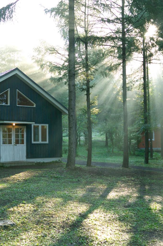 Concierge's custom-made unique Japan activity and camping in forest