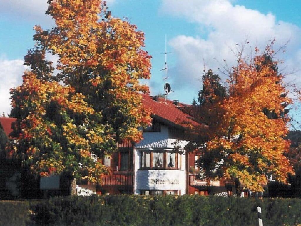 Bärenhüsli No 2 photo 1