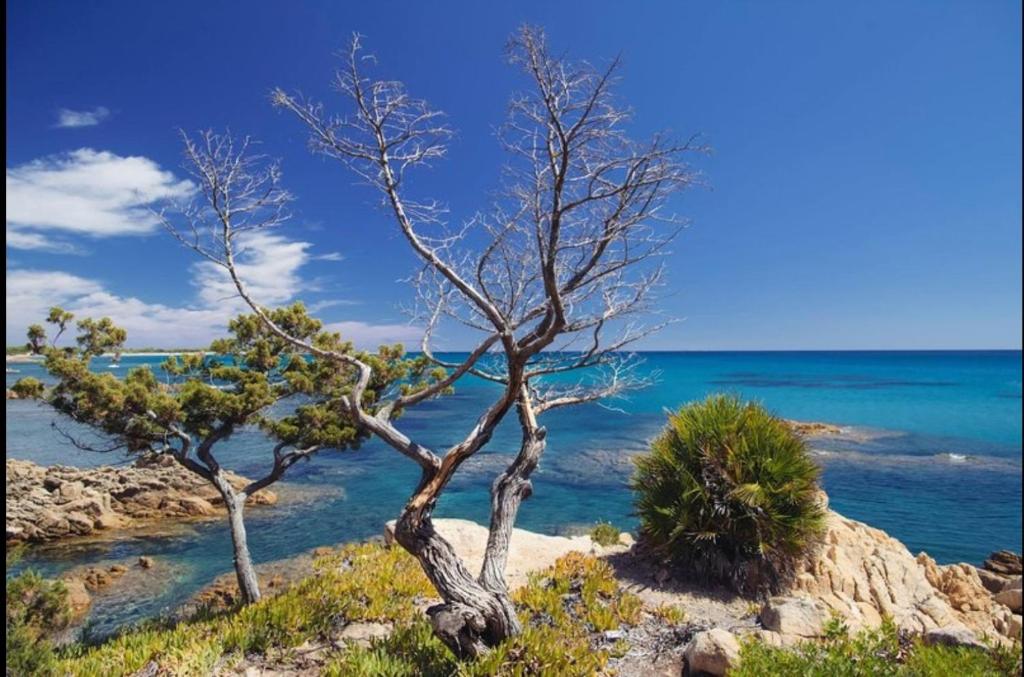 Villa Vera trifamigliare con ingresso diretto 20 mt al mare clima wi-fi bbq