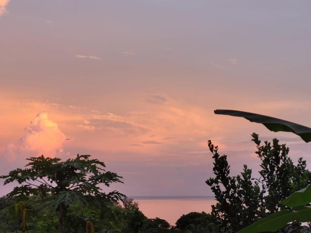 Tandif Villa Sea View photo 4