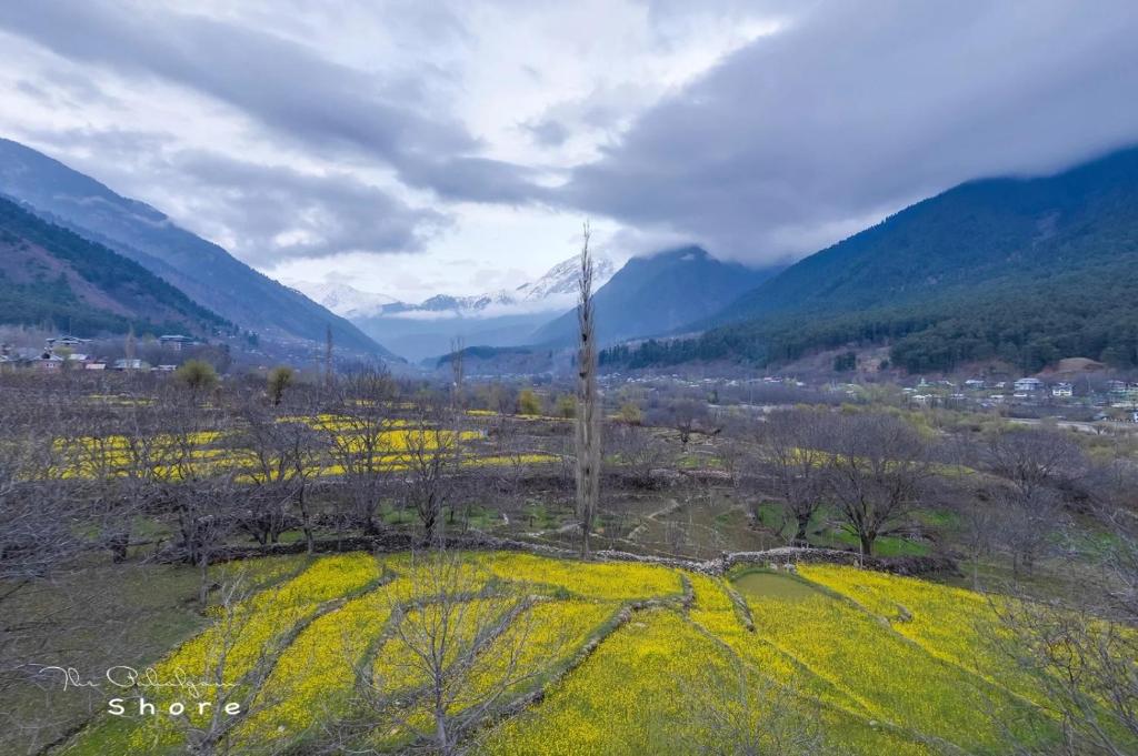 The Pahalgam Shore photo 1