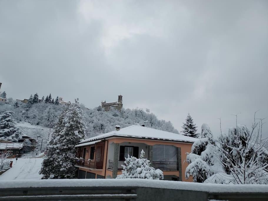 Tiziana photo 2