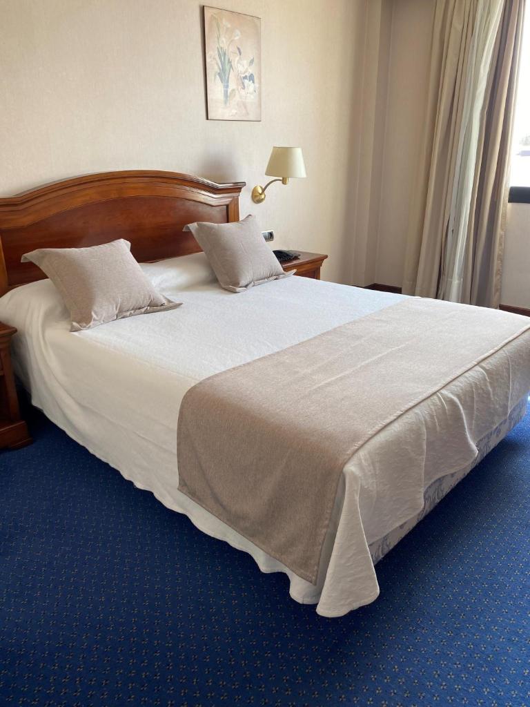 Hotel Villa De Almazan photo 2