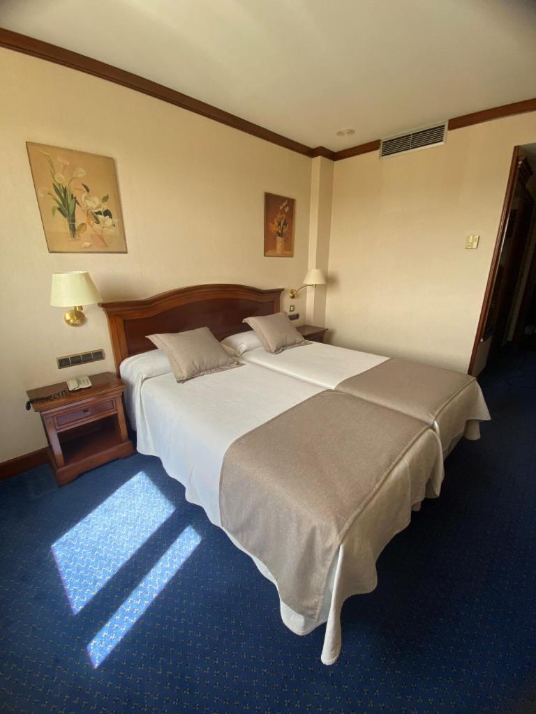 Hotel Villa De Almazan photo 4