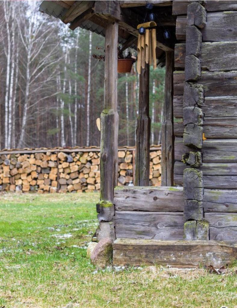 Pailseti Dzukijos gamtoje photo 3