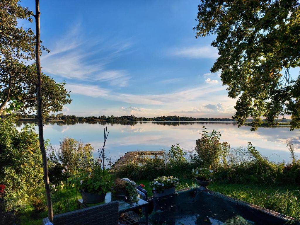 Paradijs aan de Reeuwijkse Plassen