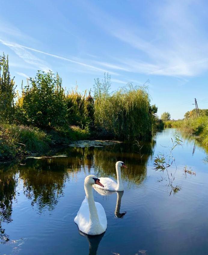 Paradijs aan de Reeuwijkse Plassen photo 1