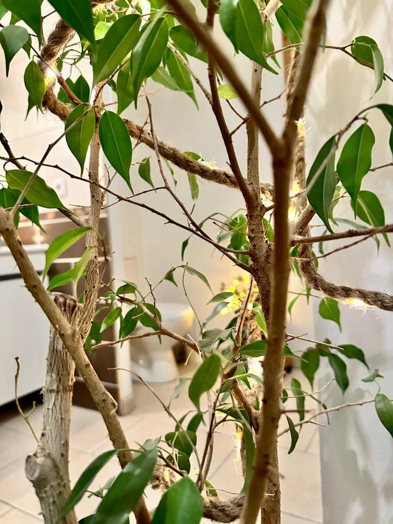 privé à une heure de paris photo 3