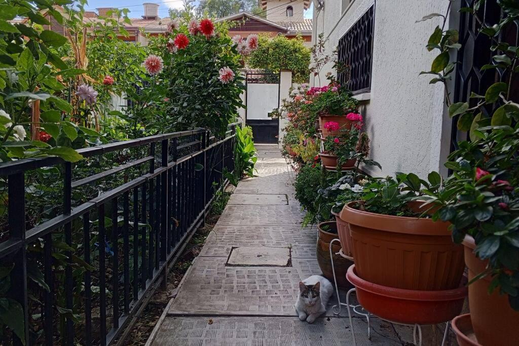 Central and quiet apartment in Cochabamba photo 4