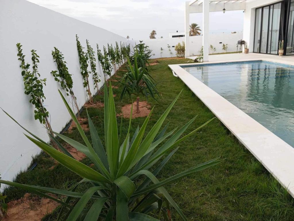 Villa turquoise photo 4
