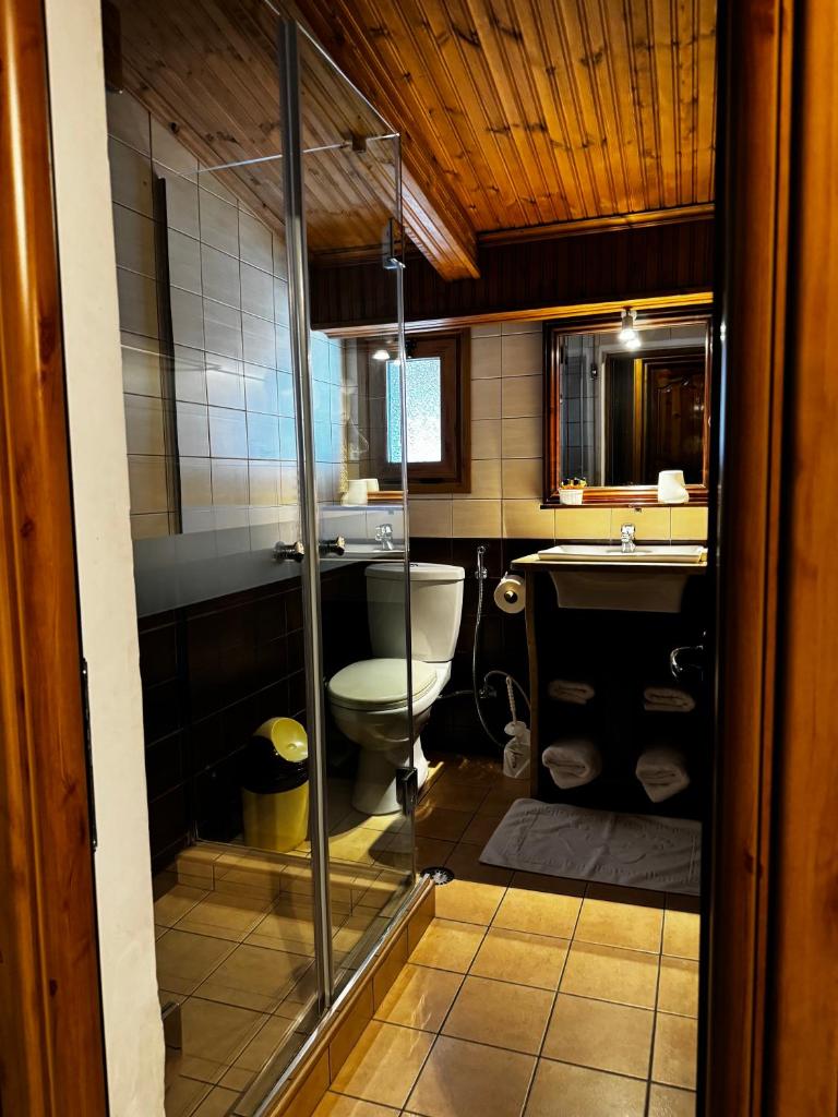 Hotel Mangalemi photo 3
