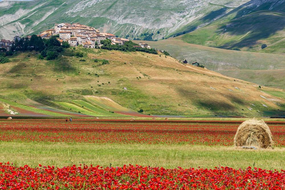 Agriturismo Monte Veletta photo 4