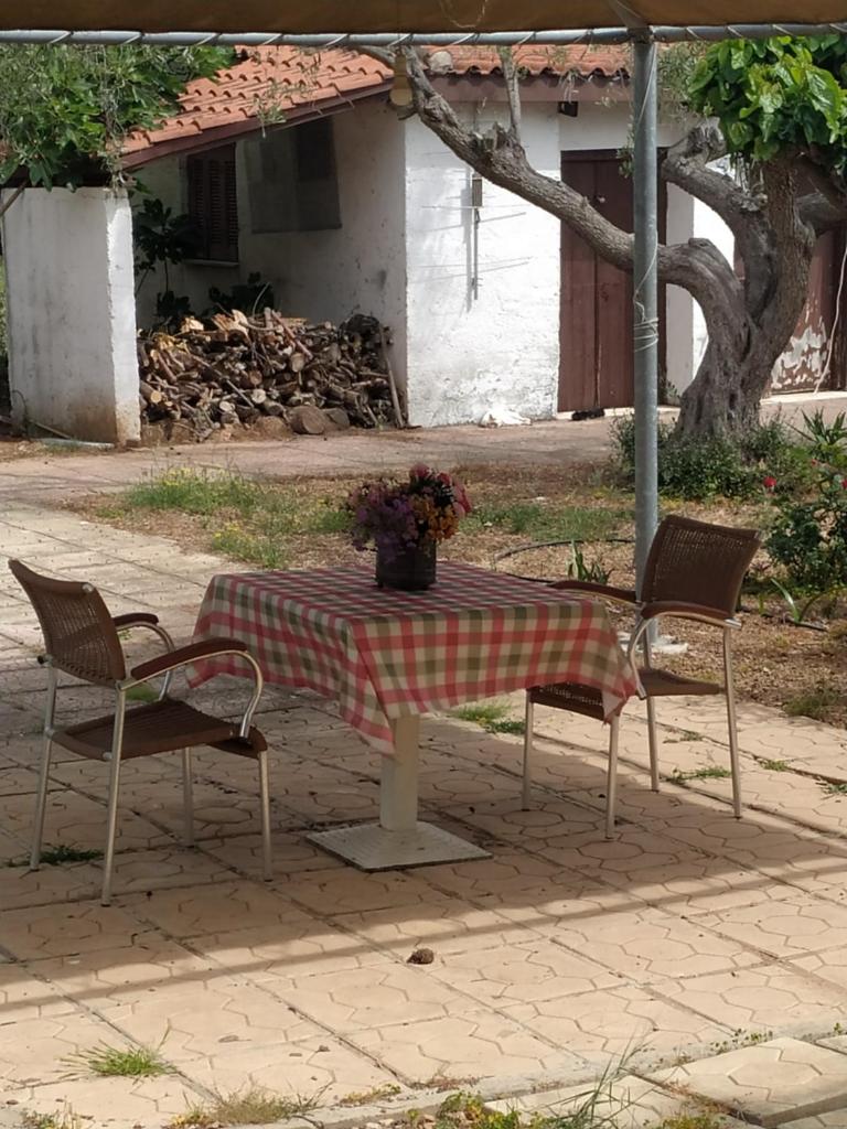 Villa Despina photo 4