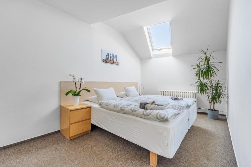 Apartmány Rozárka Turnov photo 4
