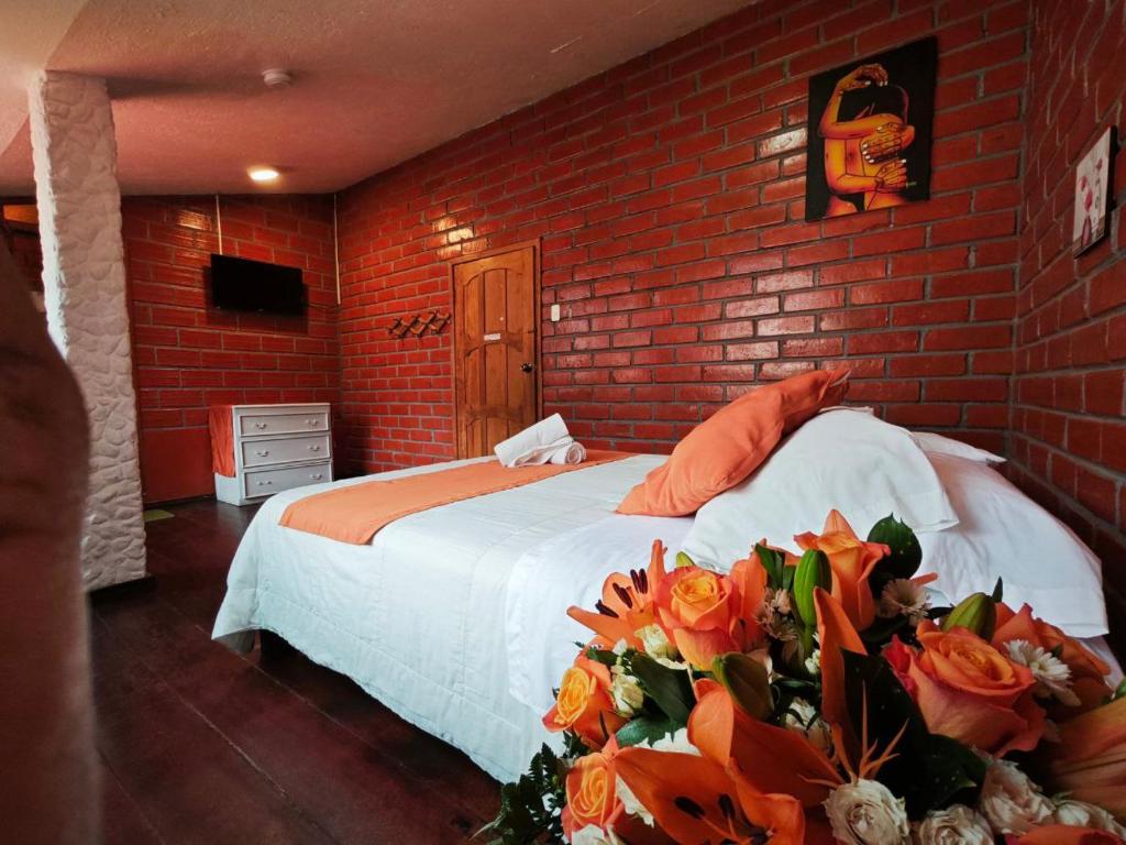 Garden House Hostal photo 2