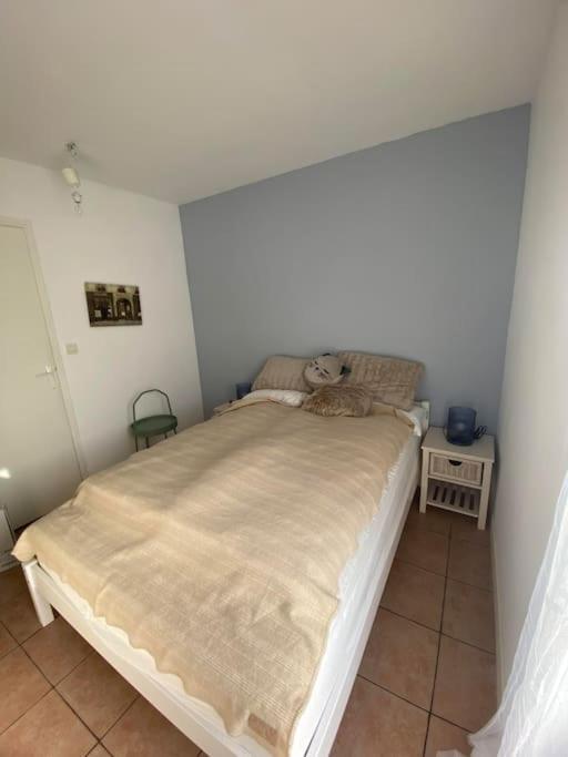 L'Océan, maison avec jardin clos photo 2