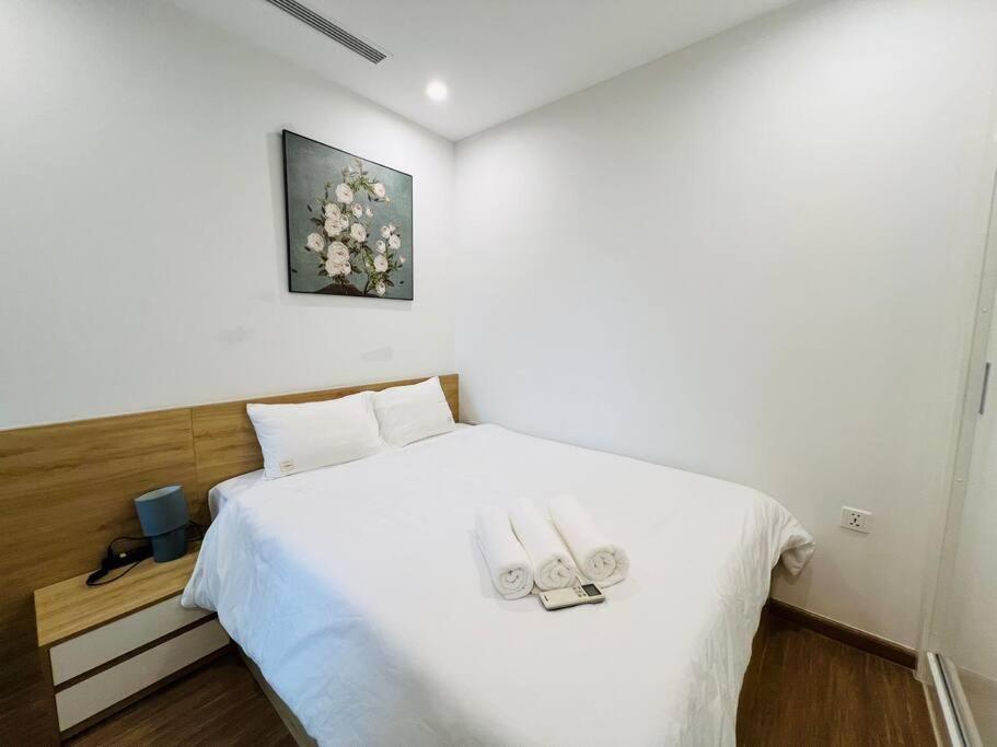 TVhome/vinhomes skylake