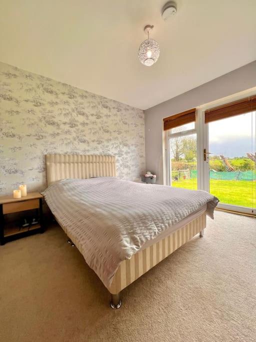 Moate - One Bedroom Self Contained Apartment photo 2