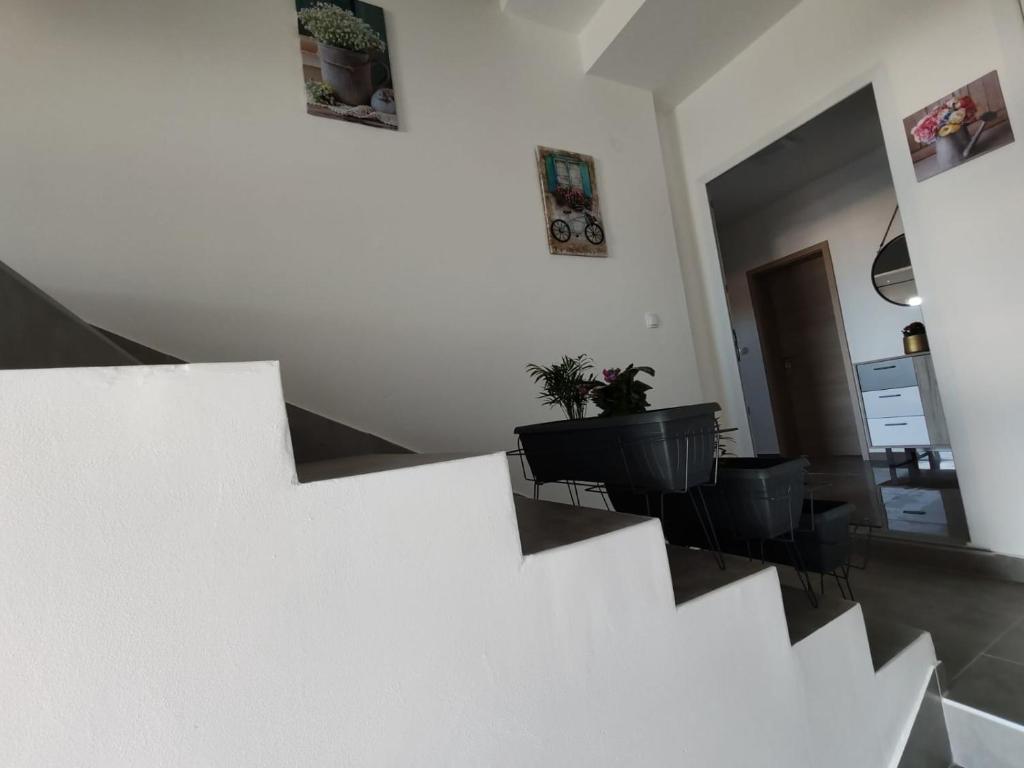 Sunny Apartment photo 1
