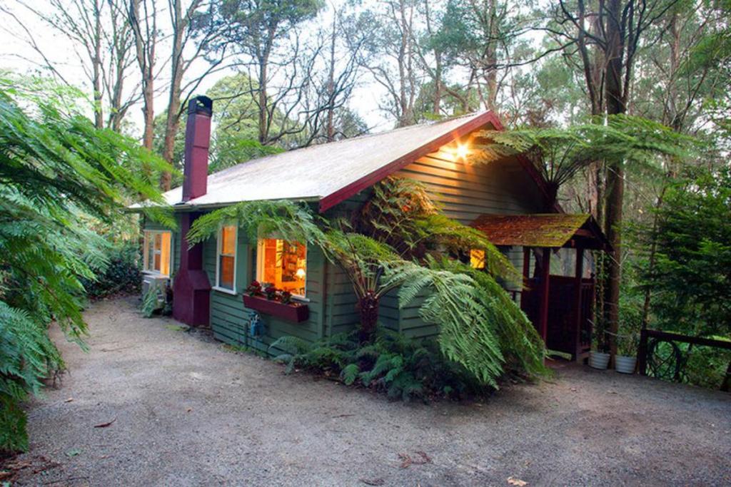 Cottage in the Forest photo 2