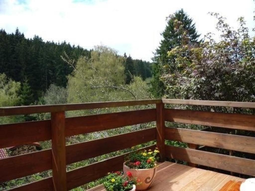 Kleines Ferienhaus mit Garten absolut ruhig Hochschwarzwald card photo 3