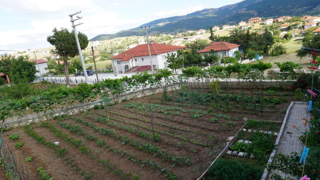 Salda Karanfil Pansiyon photo 1