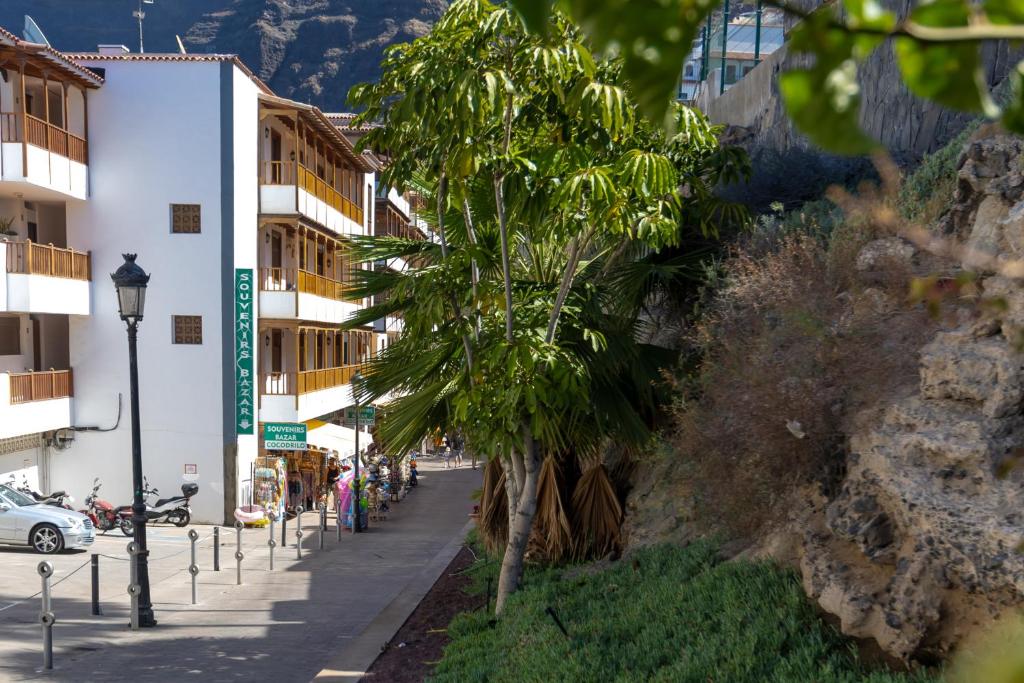 Beautiful View Appartement Los Gigantes, Tenerife