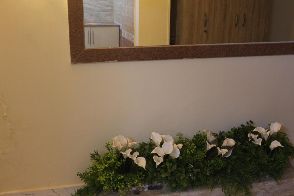 pyramita luxury hotel photo 2