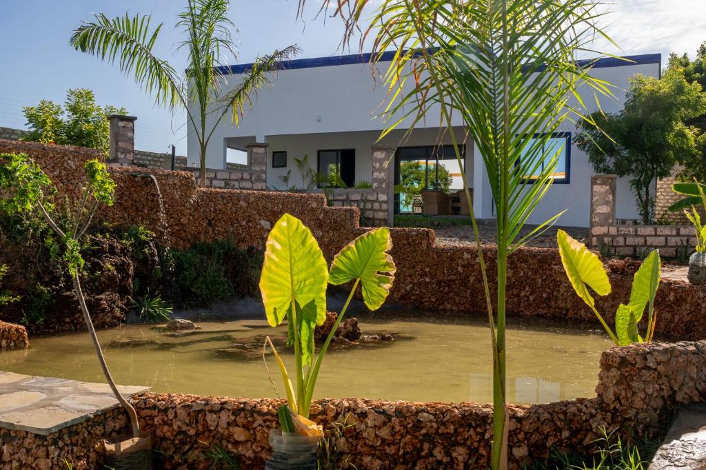 Crocodile lodge photo 3