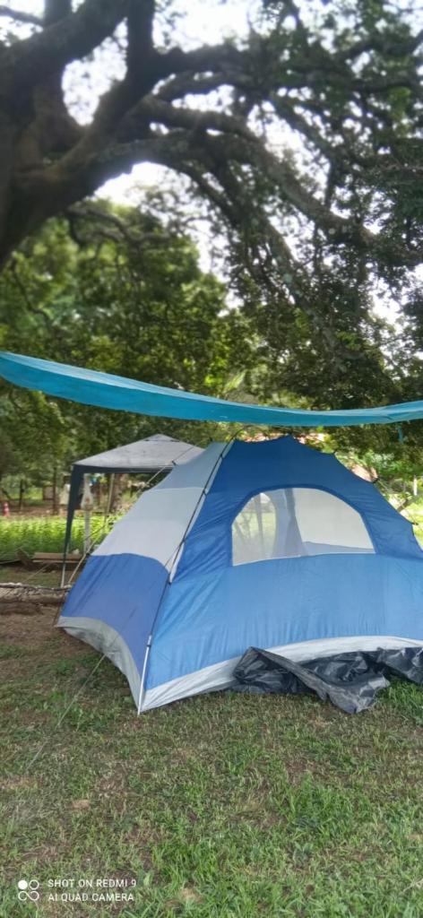 camping familia arlinda photo 4