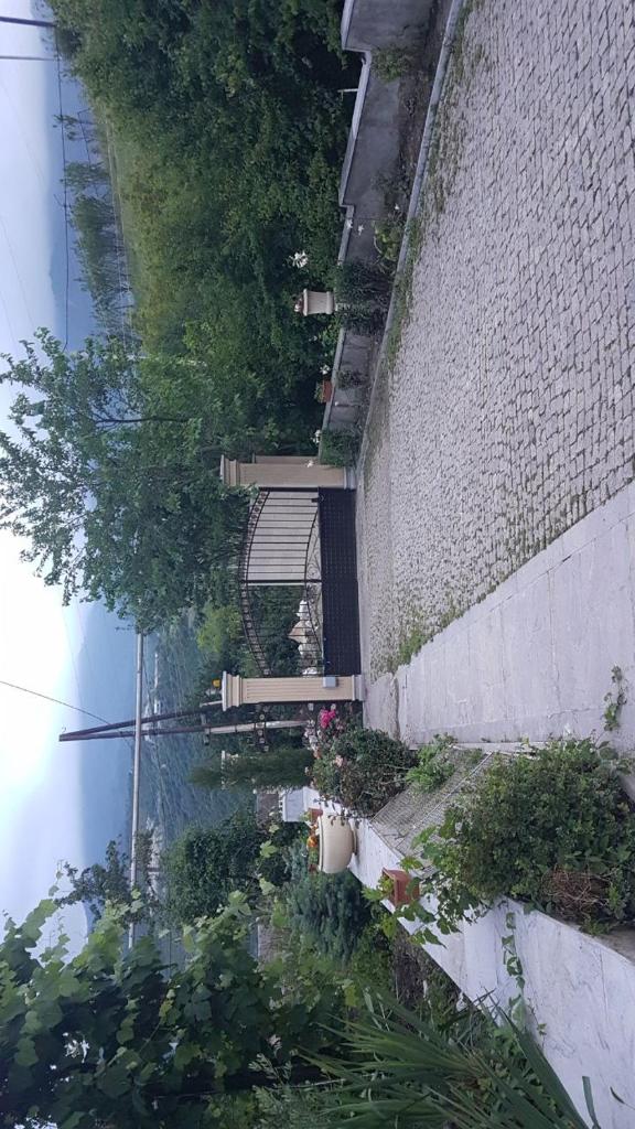 Nice House photo 3
