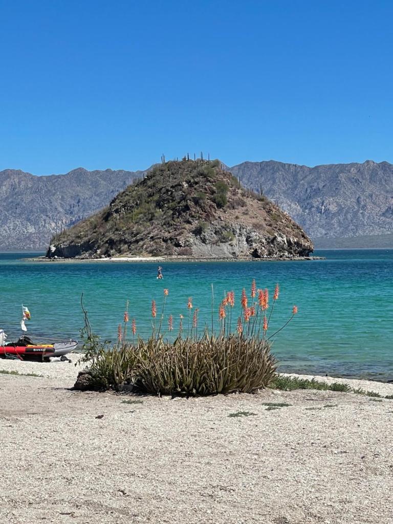 Mulegé Glamping en la playa photo 1