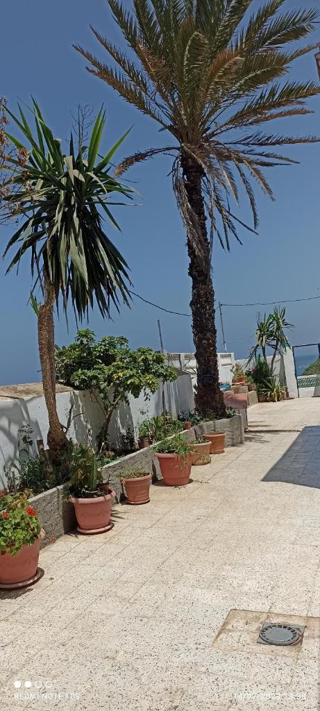 terrasses des tamaris photo 1