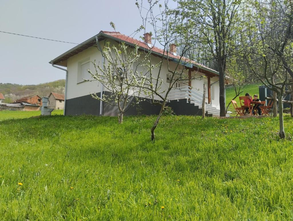 Vitovnicki Mir photo 1