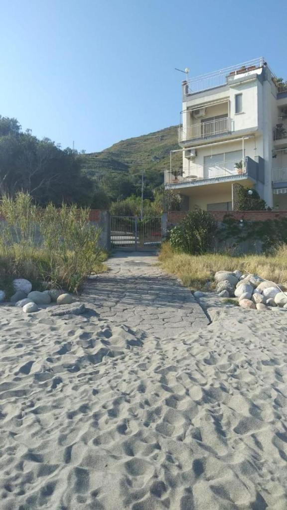Movida Sea photo 2