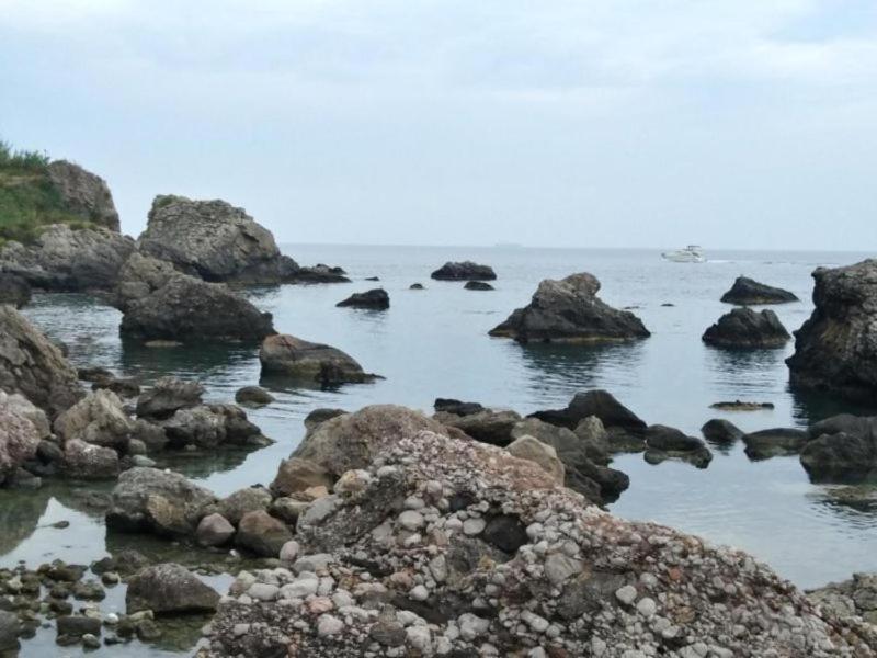 Movida Sea photo 3